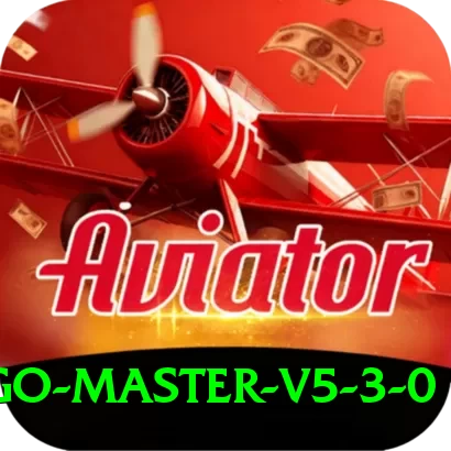 bingo Master v5.3.0 - 2