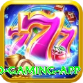 F6 Game Turbo Gaming App