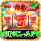 Luck44 Mega Gaming App